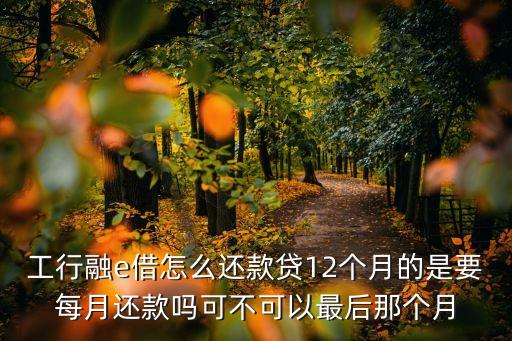 工行融e借怎么還款貸12個(gè)月的是要每月還款嗎可不可以最后那個(gè)月