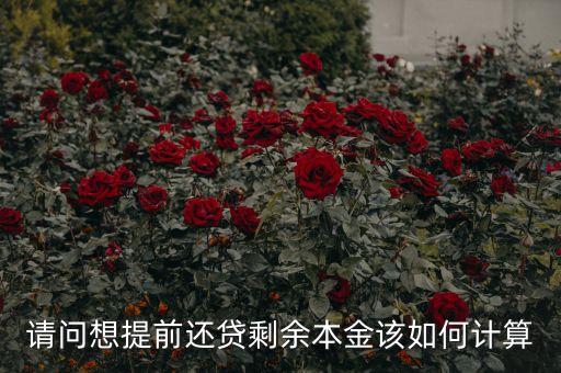剩余債權(quán)本金怎么計(jì)算，等額本息 剩余本金的計(jì)算