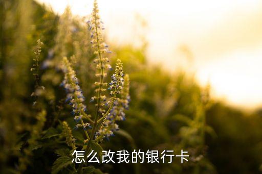 怎么改我的銀行卡