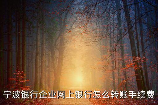 寧波銀行怎么手機(jī)轉(zhuǎn)賬手續(xù)費(fèi)，寧波銀行怎么網(wǎng)上匯款