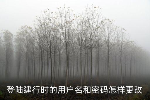 建行改名字怎么改密碼怎么辦理，登陸建行時(shí)的用戶名和密碼怎樣更改