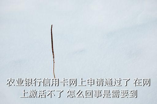農(nóng)業(yè)銀行信用卡網(wǎng)上申請(qǐng)通過了 在網(wǎng)上激活不了 怎么回事是需要到