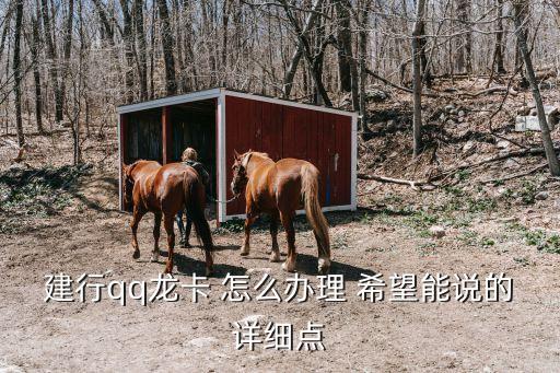建行qq龍卡 怎么辦理 希望能說的詳細點