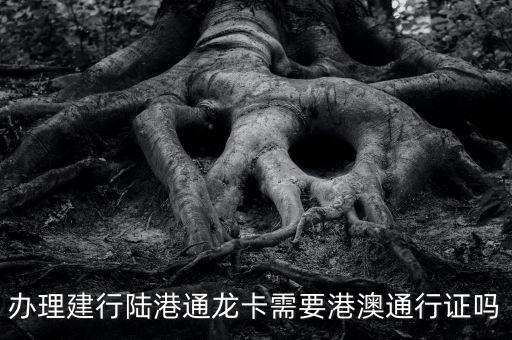 陸港通龍卡怎么辦理，辦理建行陸港通龍卡需要港澳通行證嗎