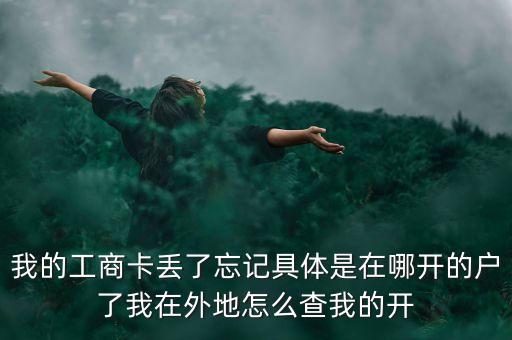 我的工商卡丟了忘記具體是在哪開的戶了我在外地怎么查我的開