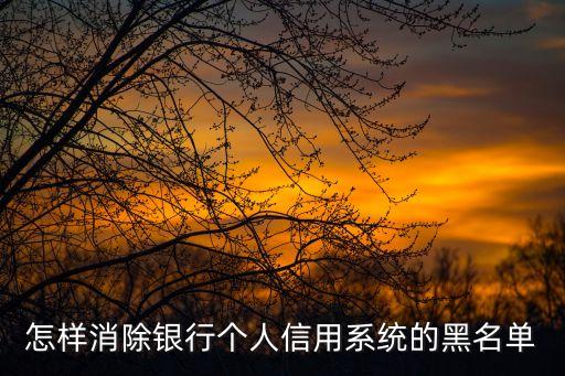 怎樣消除銀行個(gè)人信用系統(tǒng)的黑名單