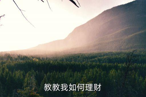 教教我如何理財(cái)