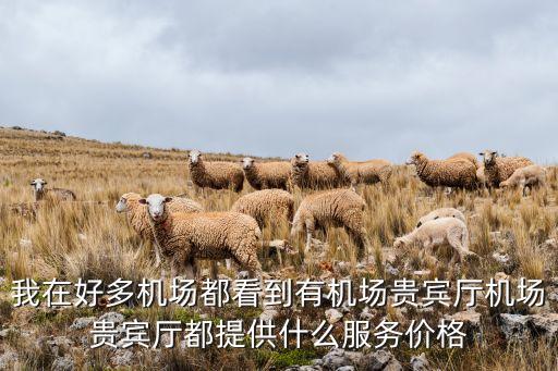 機(jī)場(chǎng)貴賓廳怎么弄，哪些銀行的信用卡可以使用機(jī)場(chǎng)貴賓室