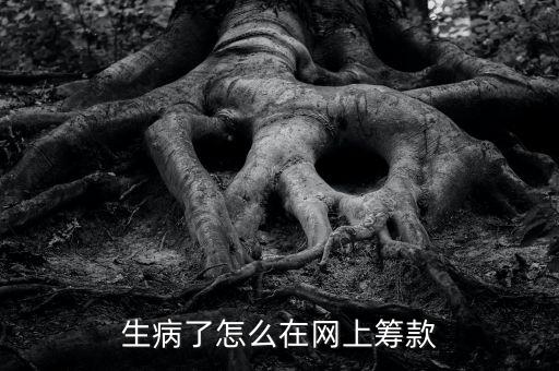 生病了怎么在網(wǎng)上籌款