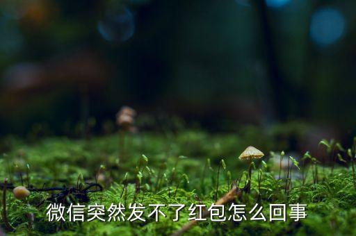 微信突然發(fā)不了紅包怎么回事