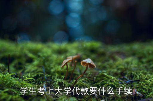 貸款的大學(xué)生怎么報(bào)名，大學(xué)生助學(xué)貸款是否可以網(wǎng)上報(bào)名