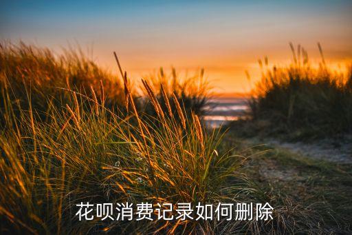 怎么刪除花唄明細賬單，我就想刪除花唄賬單明細請求幫助