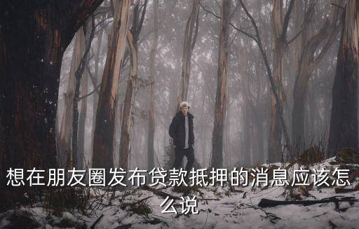 想在朋友圈發(fā)布貸款抵押的消息應(yīng)該怎么說