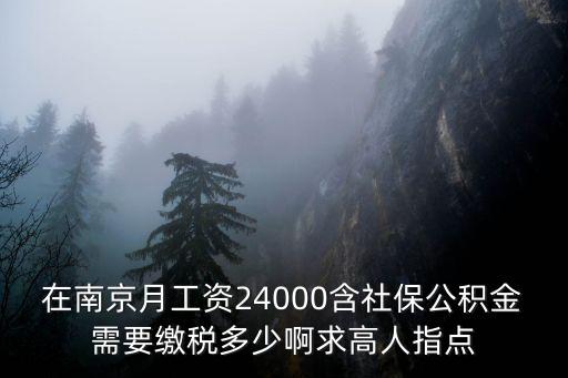 南京稅收怎么收費，在南京月工資24000含社保公積金需要繳稅多少啊求高人指點