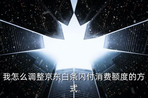 怎么改閃付月限額，可以提高下京東閃付的限額么