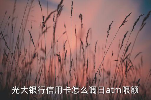 光大銀行信用卡怎么調日atm限額