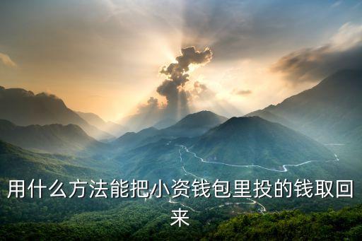 用什么方法能把小資錢包里投的錢取回來