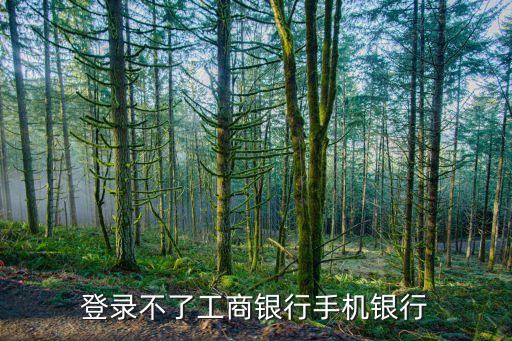 手機工行登陸不了怎么辦，怎么用手機登陸不了工行網(wǎng)址