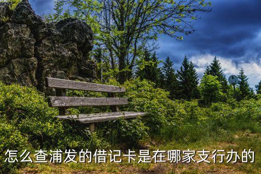 浦發(fā)網(wǎng)點怎么查，怎么查浦發(fā)的借記卡是在哪家支行辦的
