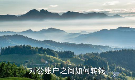 公戶轉(zhuǎn)賬匯款怎么轉(zhuǎn)，對(duì)公賬戶之間如何轉(zhuǎn)錢