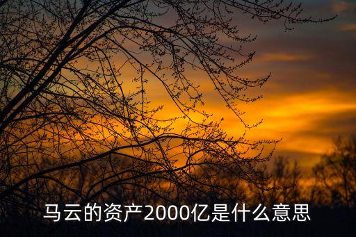 馬云的資產(chǎn)2000億是什么意思