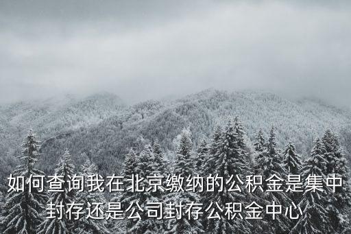如何查詢我在北京繳納的公積金是集中封存還是公司封存公積金中心