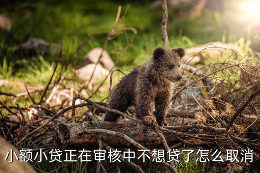 小額小貸正在審核中不想貸了怎么取消