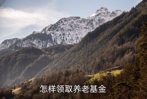 怎樣領(lǐng)取養(yǎng)老基金