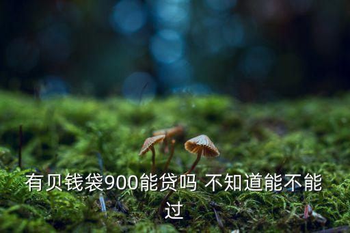 有貝錢袋900能貸嗎 不知道能不能過