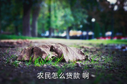 農(nóng)民怎么貸款 啊