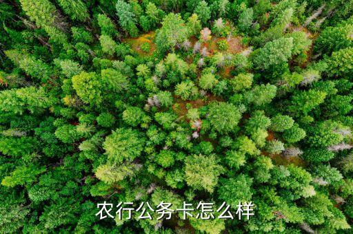 農(nóng)商銀行公務(wù)卡怎么樣，農(nóng)行公務(wù)卡怎么樣