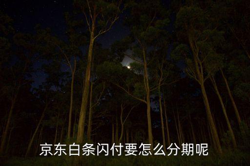 京東白條刷卡怎么分期，京東商城購物怎樣進(jìn)行分期付款