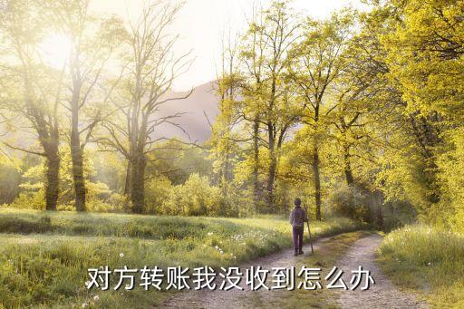 別人給我轉(zhuǎn)的錢沒(méi)收到怎么辦，別個(gè)說(shuō)打錢我 但我沒(méi)收到怎么辦啊