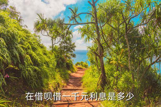 在借唄借一千元利息是多少