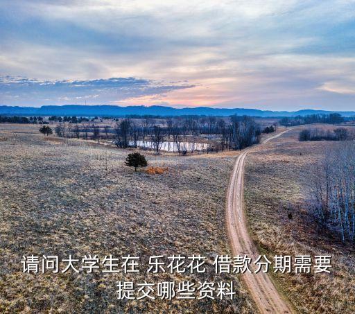 請問大學(xué)生在 樂花花 借款分期需要提交哪些資料