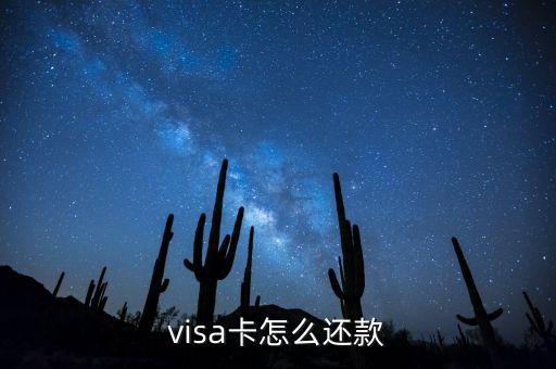 visa卡怎么還款