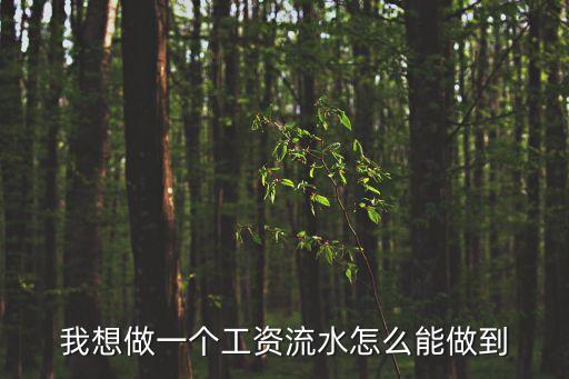 怎么做打卡工資流水，打卡工資流水怎么操作