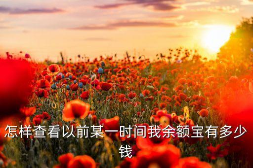 怎樣查看以前某一時間我余額寶有多少錢