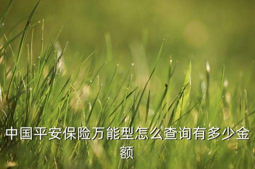 平安保險怎么看保額，中國平安保險萬能型怎么查詢有多少金額