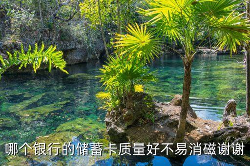 哪個(gè)銀行的儲(chǔ)蓄卡質(zhì)量好不易消磁謝謝