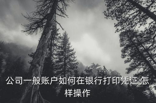 公司一般賬戶如何在銀行打印憑證 怎樣操作