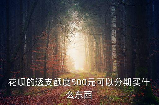 花唄的透支額度500元可以分期買什么東西