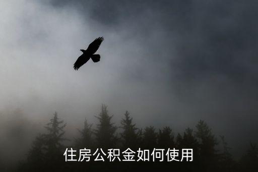 住房公積金卡怎么使用，住房公積金使用方法