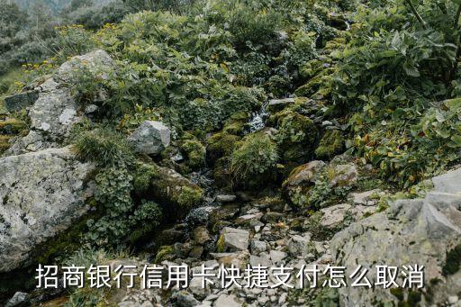 招商銀行信用卡快捷支付怎么取消