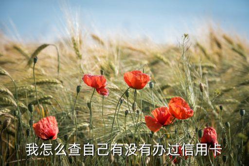 我怎么查自己有沒有辦過信用卡