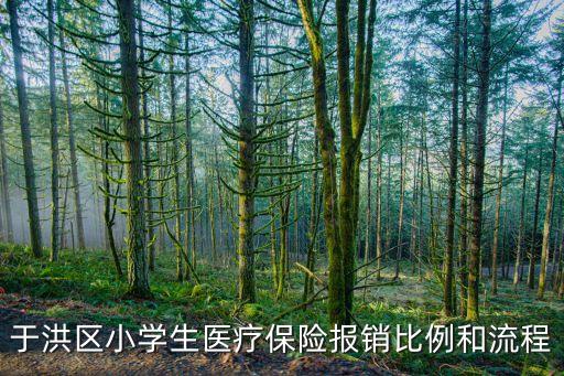 沈陽兒童醫(yī)保怎么報(bào)銷比例，沈陽兒童醫(yī)保報(bào)銷比例