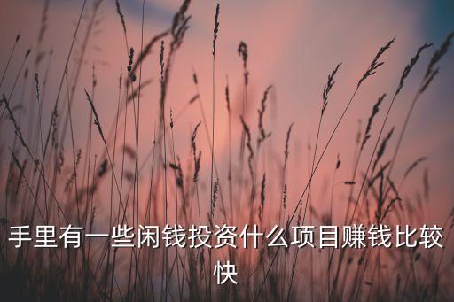 手里有一些閑錢投資什么項(xiàng)目賺錢比較快
