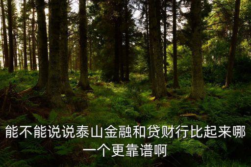 能不能說說泰山金融和貸財(cái)行比起來哪一個(gè)更靠譜啊
