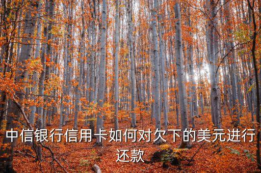 中行信用卡美金怎么還，中信銀行信用卡如何對欠下的美元進(jìn)行還款