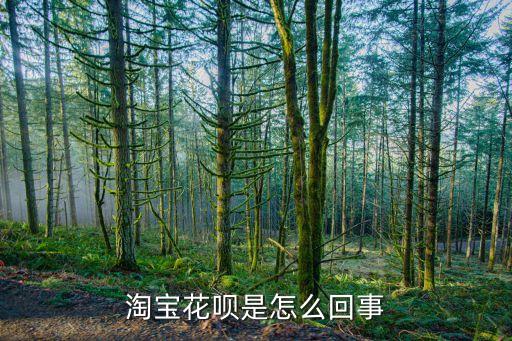 花唄怎么來(lái)的怎么算的，淘寶花唄是怎么回事